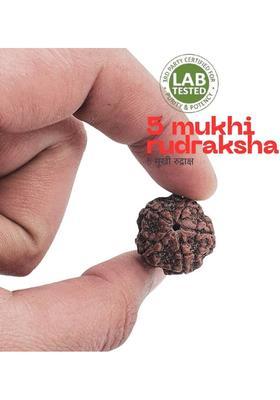 Dayalu Store Permuim Natural 5 Mukhi Nepali Rudraksha Bead with Certificate Beads Wood Locket