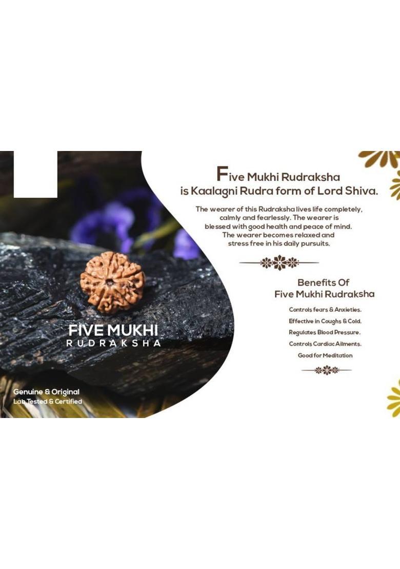 Dayalu Store Permuim Natural 5 Mukhi Nepali Rudraksha Bead with Certificate Beads Wood Locket - Indya