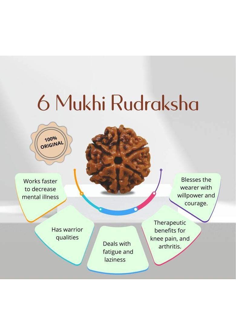 Radhika Collection 6 Mukhi Rudraksha Original IGL Certified | Original Seller Nepali Rudraksha Silver Beads Brass, Wood Locket Set - Indya