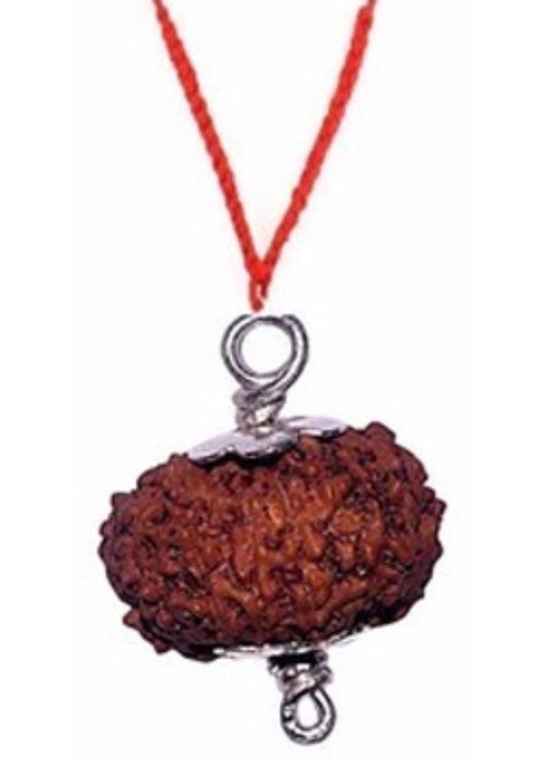 AJ 14 Mukhi Nepali Siddha Rudraksha Pendent With IGL Certified Silk Dori Pendant - Indya