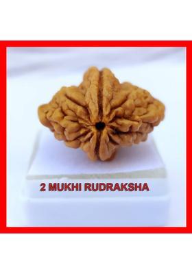 PRIYANSHU NAVRATN Lab Certified 2 Mukhi Rudraksha Bead Natural Nepali 2 Face Rudraksha Beads Beads Wood Pendant