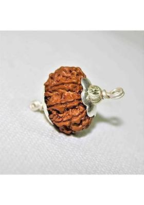 HAPPY CREATION Original 7 Mukhi Rudraksh Seven Face Natural From Nepali Wood Pendant