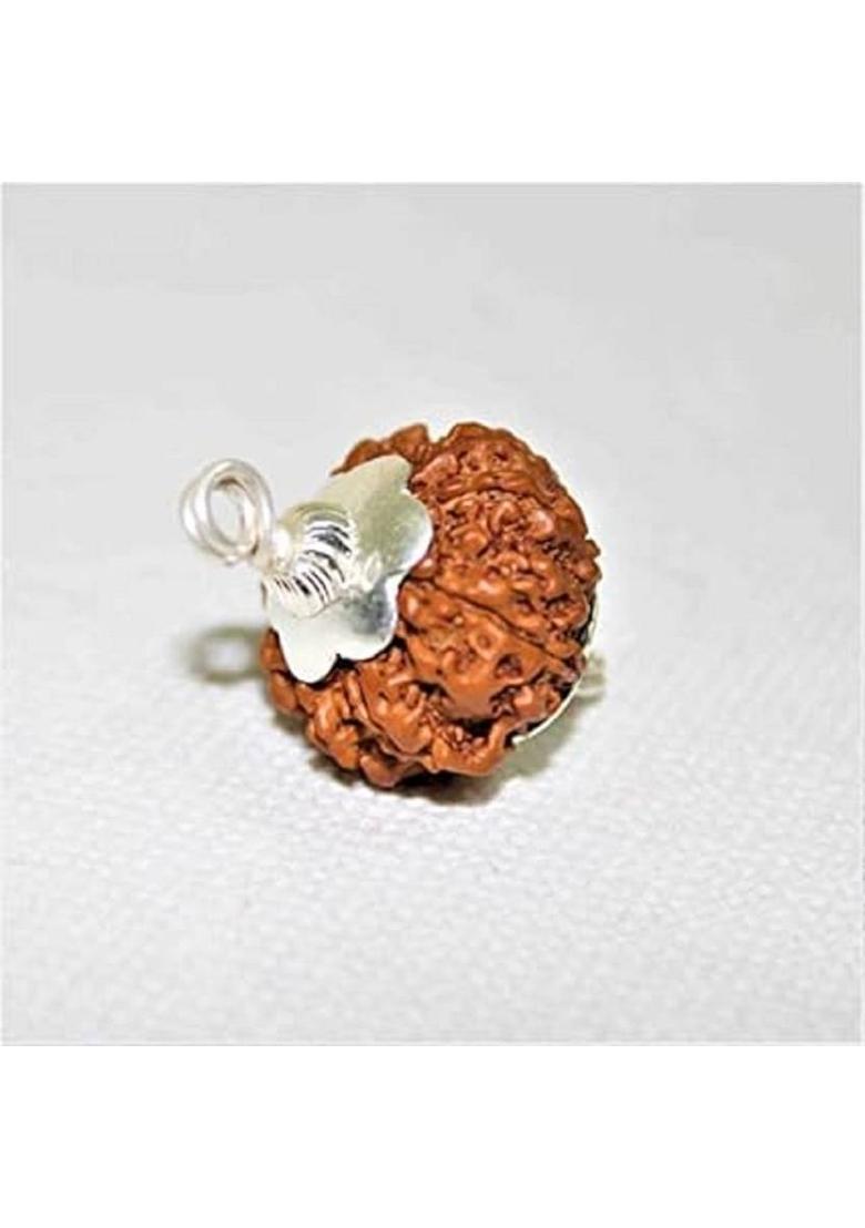 HAPPY CREATION Original 7 Mukhi Rudraksh Seven Face Natural From Nepali Wood Pendant - Indya