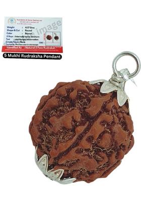 Plus Treasure Natural 5 Mukhi Rudraksha five Face Rudraksha Metal Cap Silver Beads Brass, Wood Locket