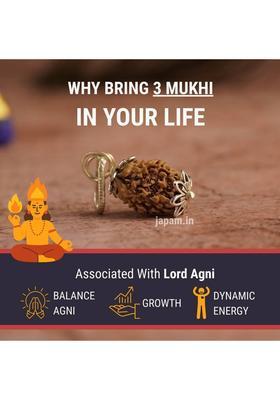 3 Mukhi Nepali Rudraksha - Teen Mukhi Fabric Necklace