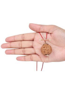 Astrodidi 9 Mukhi Rudraksha Big Size Nine Face Rudraksha Indonesian Origin with Lab Report Silver Wood Pendant