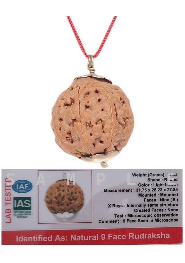 Astrodidi 9 Mukhi Rudraksha Big Size Nine Face Rudraksha Indonesian Origin with Lab Report Silver Wood Pendant - Indya