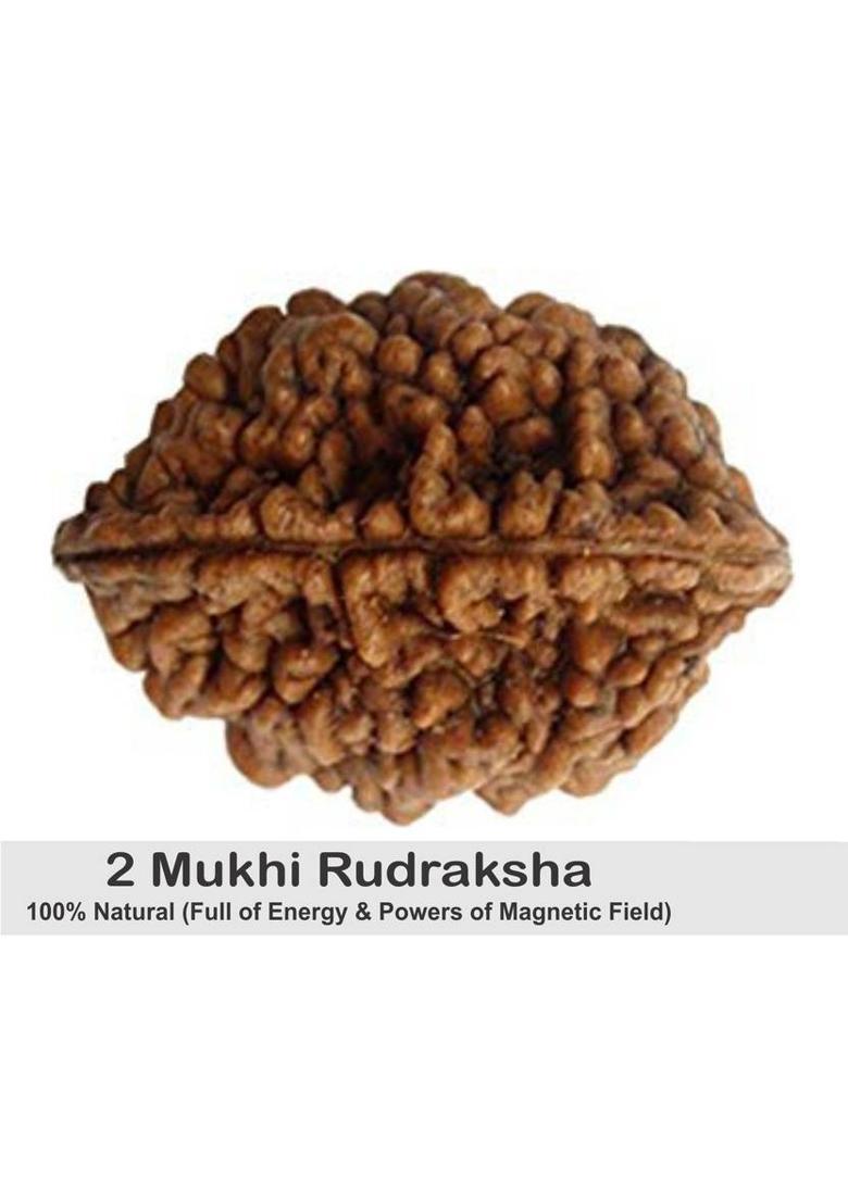 lisa vorce Certified/Original Two Mukhi Rudraksha/Natural 2-faced For Men & Women Wood Pendant - Indya