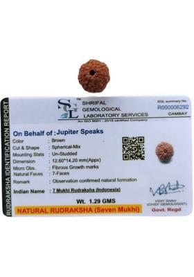 jupiter speaks Certified 7 Mukhi Rudraksha Indonesia (Java), 100% Original Seven Face Ruthratacham Small Size 10-12 mm Natural Brown Color for Men and Women Wood Pendant