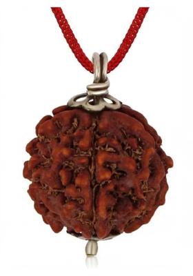 RUDRA UNIVERSE 5 Mukhi Rudraaksh Nepali Origin 20mm Plus size Wood Pendant