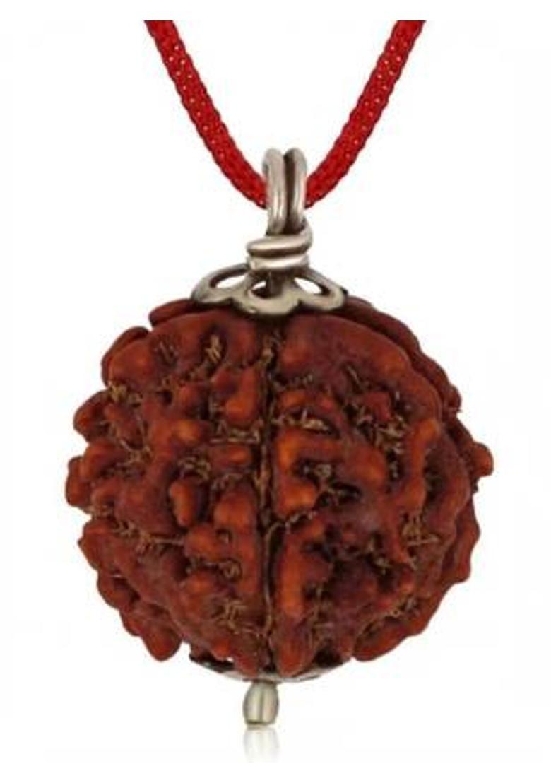 RUDRA UNIVERSE 5 Mukhi Rudraaksh Nepali Origin 20mm Plus size Wood Pendant - Indya