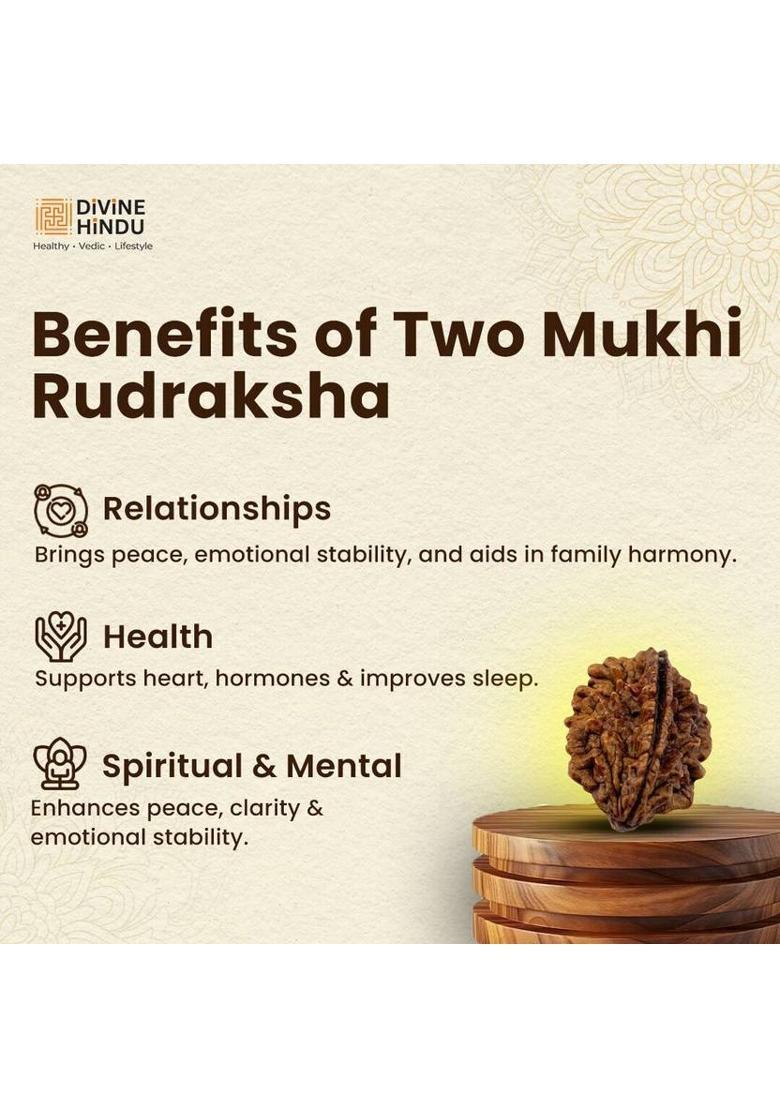 DIVINE HINDU 2 Mukhi Nepali Rudraksha Bead | Lab Certified | Focus, Peace & Vitality Wood Pendant - Indya