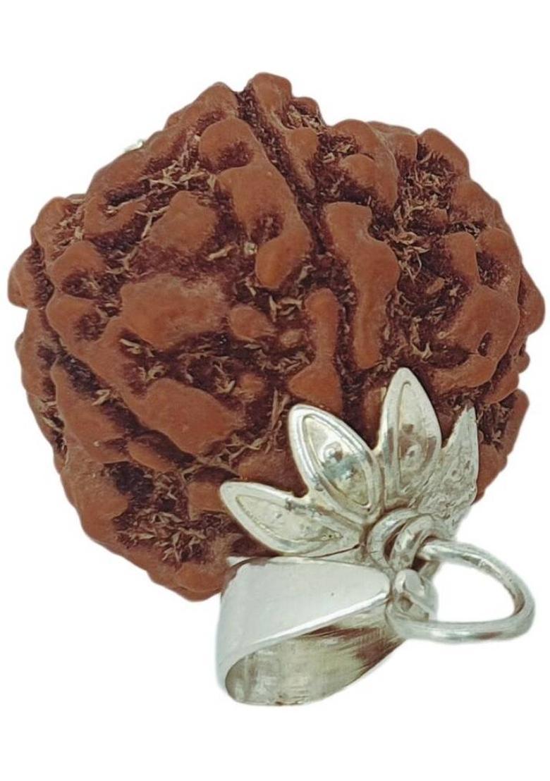 Dayalu Store 5 Mukhi Rudraksha Original Certified | Original Seller Nepali Rudraksha | Silver Beads Brass, Wood Pendant Set - Indya