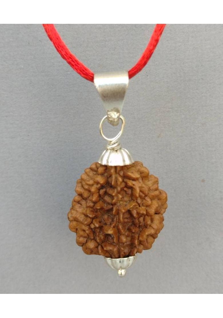 jupiter speaks Certified 2 Mukhi / Face Rudraksha Indian Pendant for Neck Wearing, 100% Original Brown Color Beads Size 28-35 mm German Silver Locket With Red Thread Wood Locket - Indya