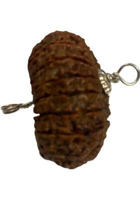 Vegga 19 mukhi rudraksha pendant nepali original Wood
