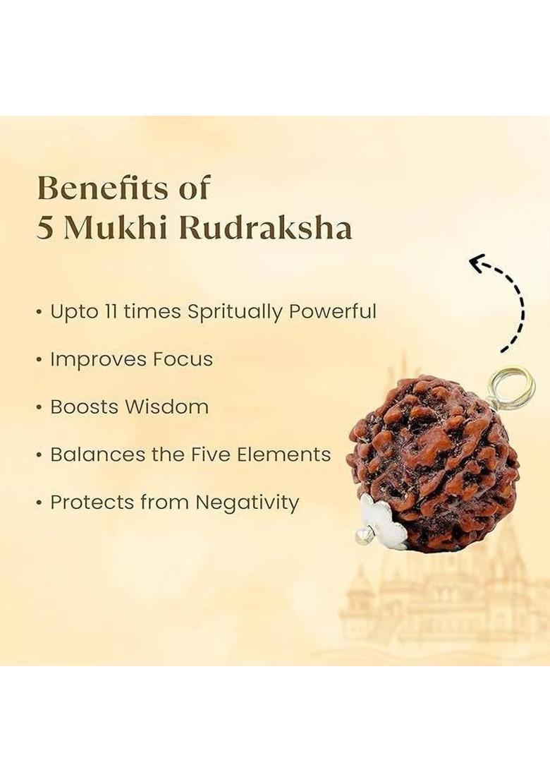 Astrotalk 100% Original Nepal 5 Mukhi Rudraksha | Lab Certified | Silver Capped | Silk Dori Pendant - Indya