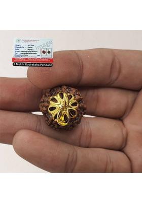 AstroVidhanart 5 Mukhi Rudraksha, five Face Radraksha, 5 Face Radraksha, Original Rudraksha Gold-plated Beads Brass, Wood Pendant