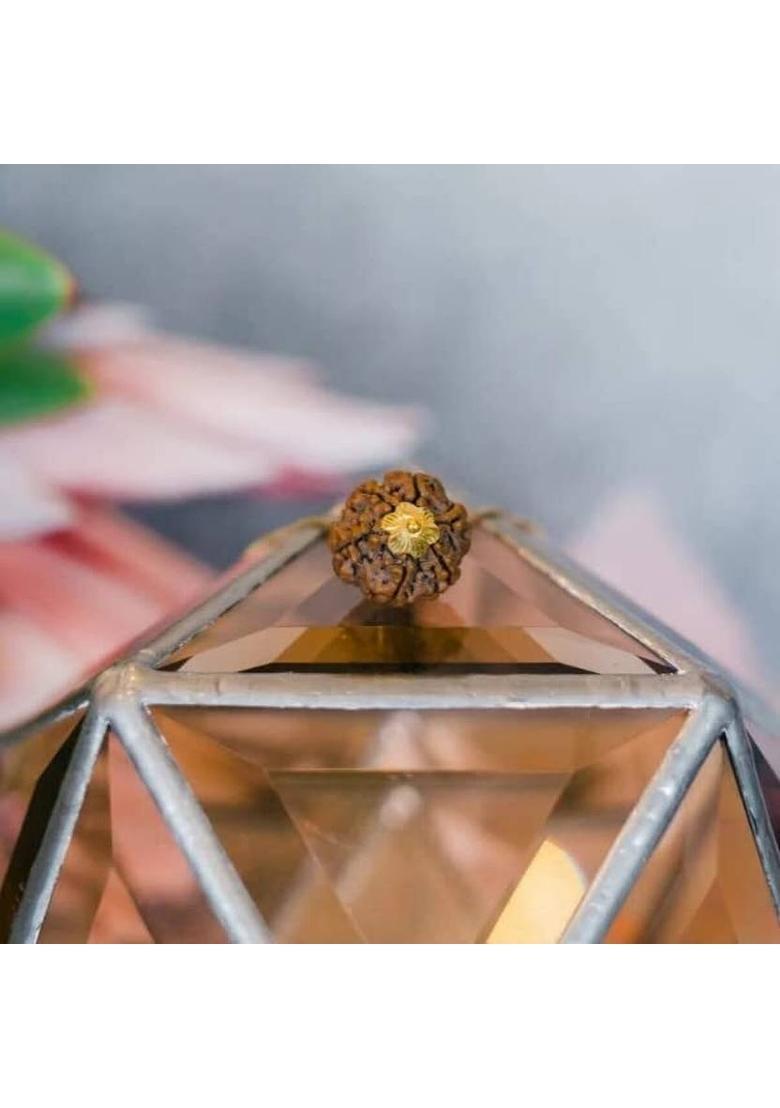 Kuttumb Gems & Jewels Natural Nepali 5 Mukhi Rudraksha Five Faced Rudraksha Metal Capping Wood Pendant - Indya