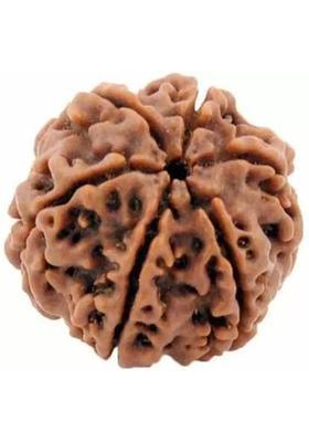 Fine Creation Natural Six Mukhi (6 face) Rudraksha Men & Women Wood Pendant