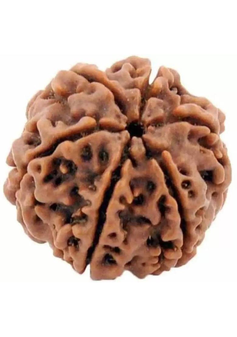 Fine Creation Natural Six Mukhi (6 face) Rudraksha Men & Women Wood Pendant - Indya