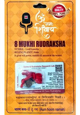 robin collection 8 Mukhi Nepali Rudraksha Eight Faced Rudraksh Bead Certified for Men and Women Sterling Silver Beads Wood