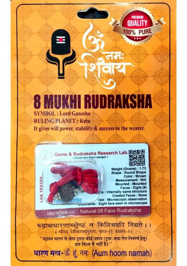 robin collection 8 Mukhi Nepali Rudraksha Eight Faced Rudraksh Bead Certified for Men and Women Sterling Silver Beads Wood - Indya