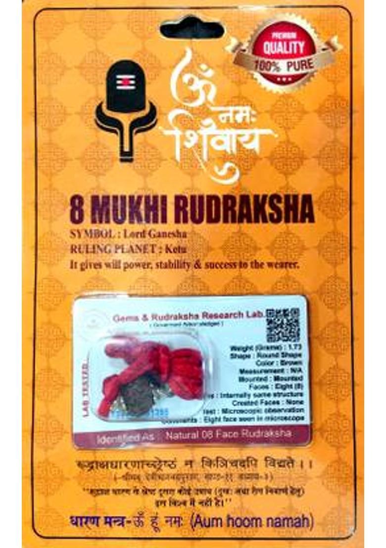 robin collection 8 Mukhi Nepali Rudraksha Eight Faced Rudraksh Bead Certified for Men and Women Sterling Silver Beads Wood - Indya