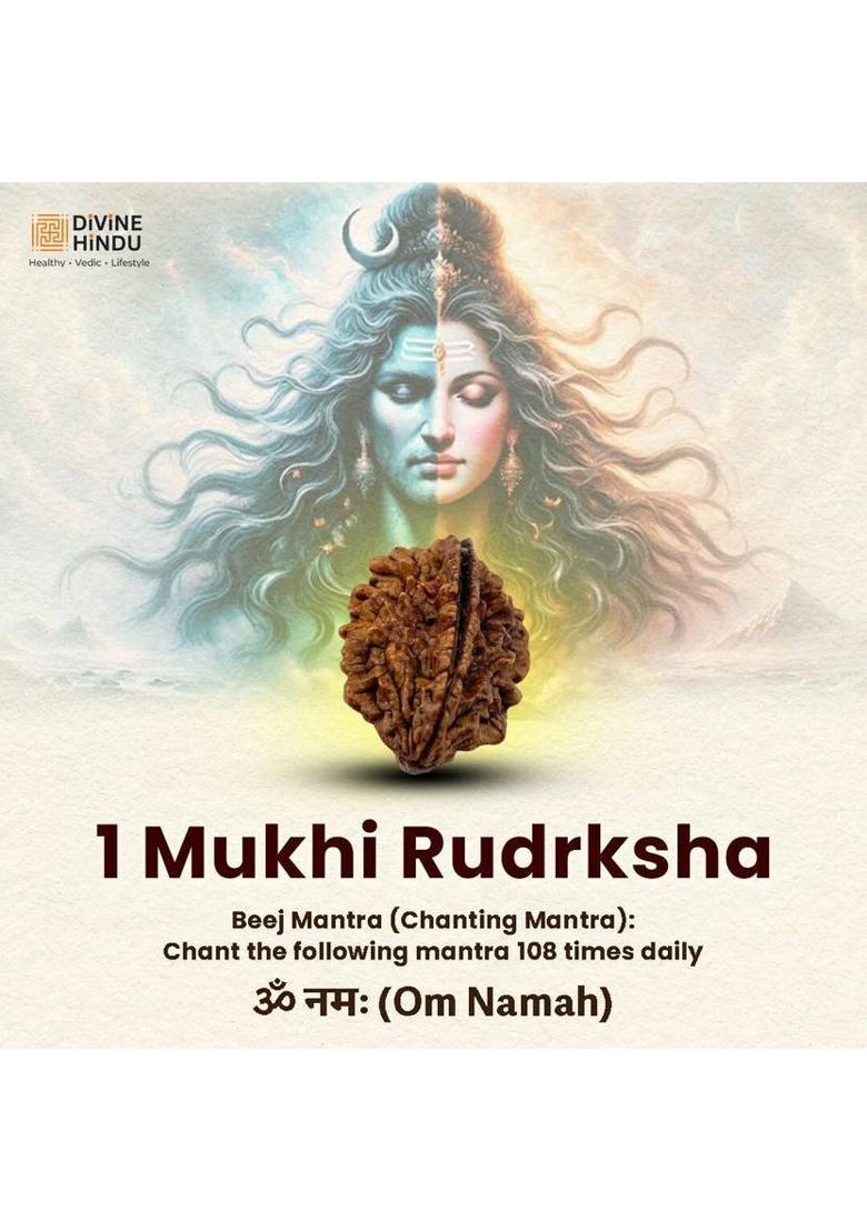 DIVINE HINDU 1 Mukhi Original Rudraksha Bead | Divine Symbol | Lab Certified | Spiritual Use Wood Pendant - Indya
