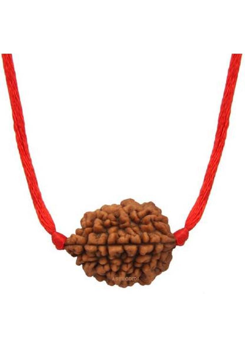 Astrodidi 2 Mukhi Rudraksha Two Face Pendant With Lab Report Original Wood Pendant - Indya