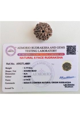 jupiter speaks Lab Certified 6 Mukhi Rudraksha Nepal (Six Faced Rudraksha Bead) for Men & Women Wood Pendant
