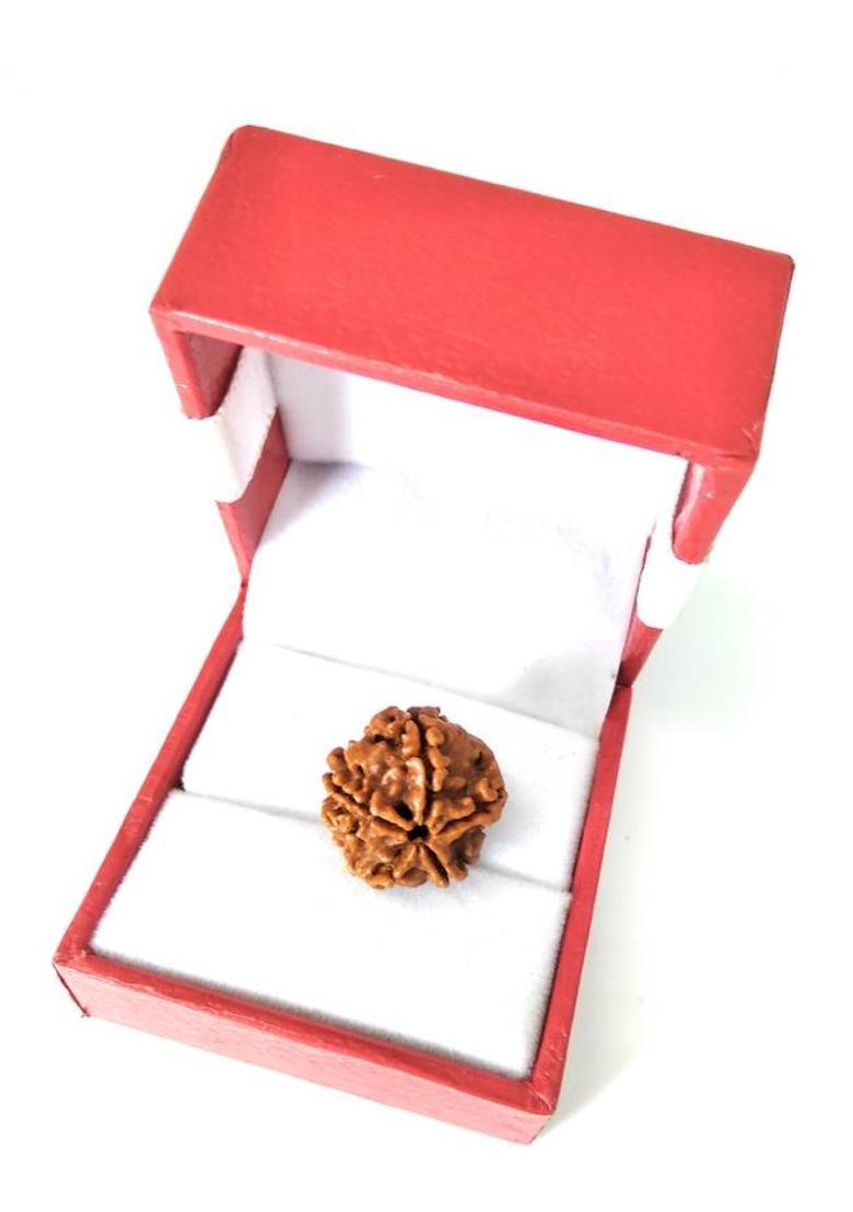 Astrosale 5 Mukhi Rudraksha Beads Wood Pendant - Indya