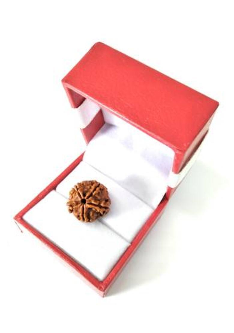 Astrosale 5 Mukhi Rudraksha Beads Wood Pendant - Indya