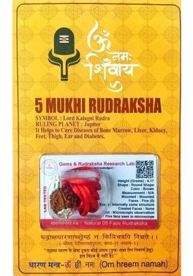 Shivtantra 5 Mukhi Rudraksha With Lab Certified, Wood Pendant