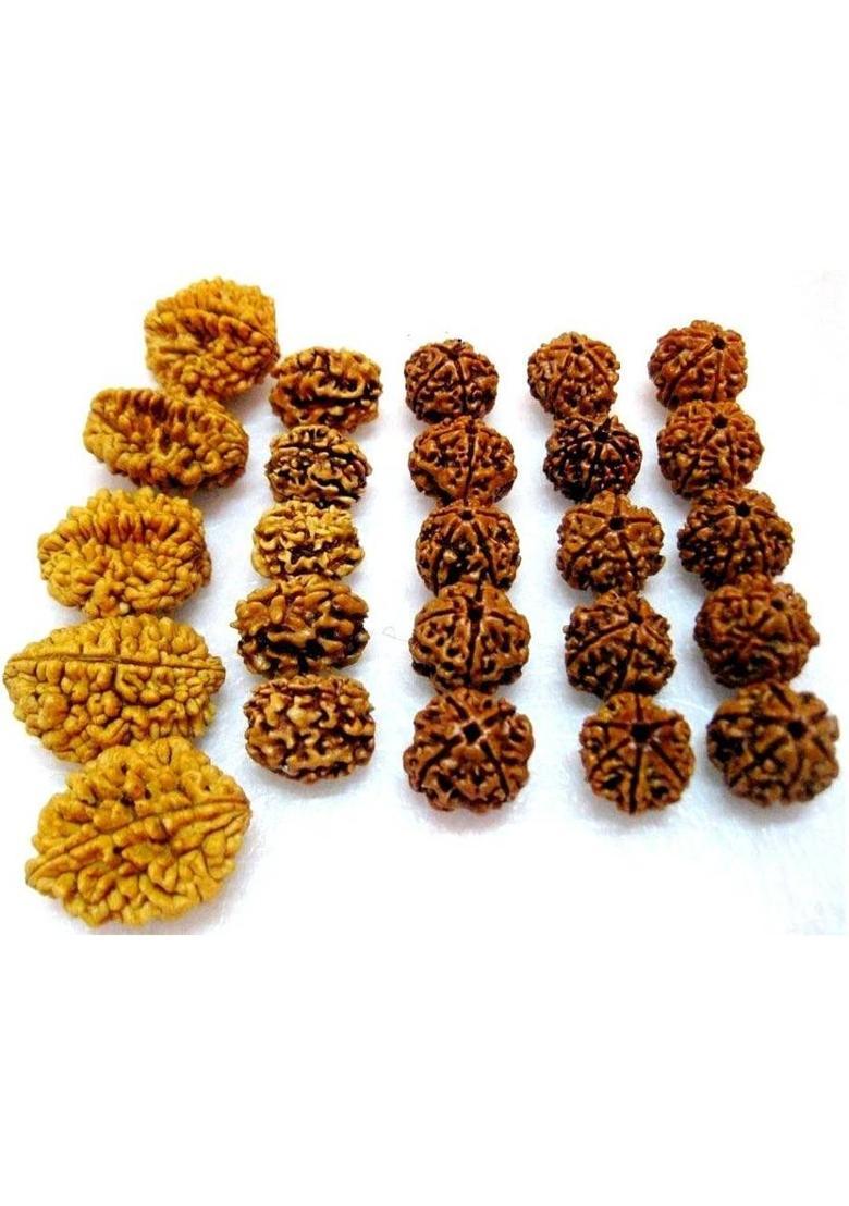 GGE NATURAL ITEM Natural 2,3,4,5,6 Mukhi (Face) Rudraksh Rudraksha (Big lot 25 pieces)~Energized Wood Pendant Set - Indya