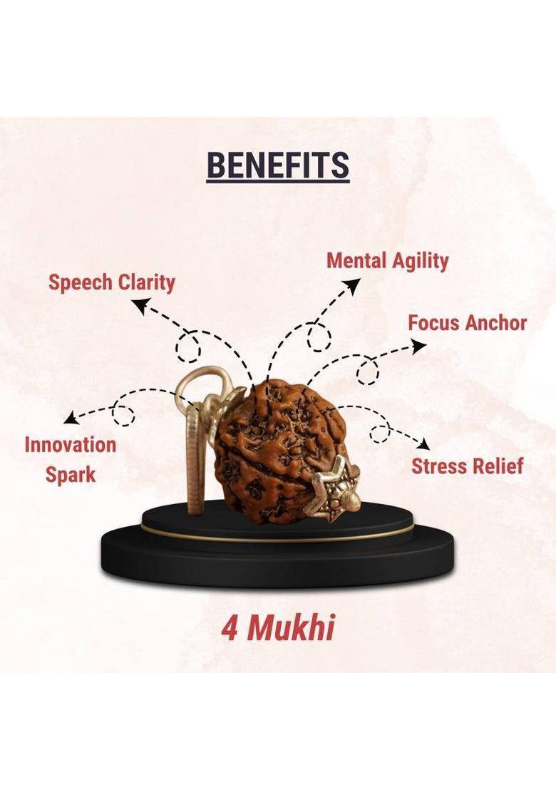 4 Mukhi Nepali Rudraksha - Chaar Mukhi Fabric Necklace - Indya