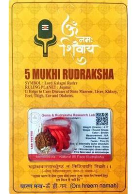 Divine rudras 5 Mukhi Rudraksha With Lab Certified, Wood Pendant