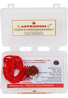 Astrodidi Original Six Face/Mukhi Rudraksha With Lab Certificate Silver Wood Pendant