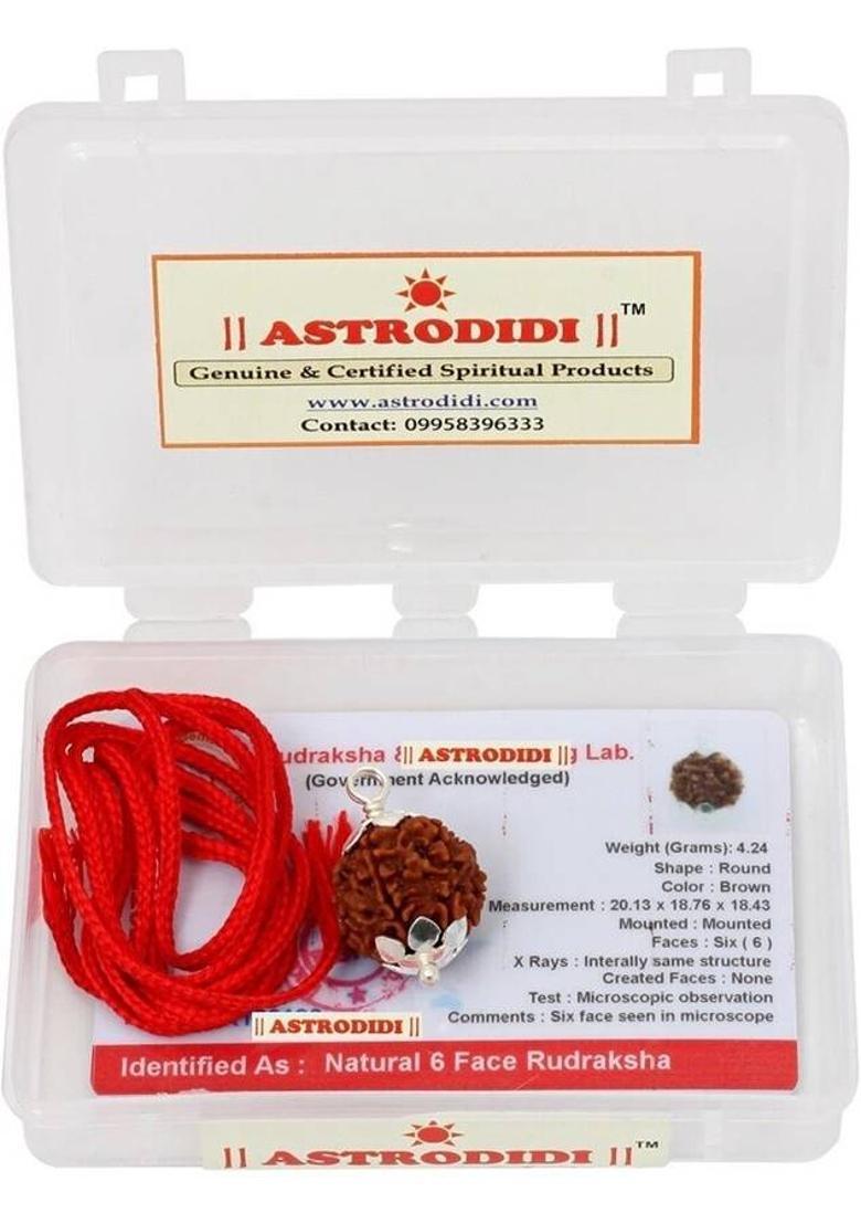 Astrodidi Original Six Face/Mukhi Rudraksha With Lab Certificate Silver Wood Pendant - Indya