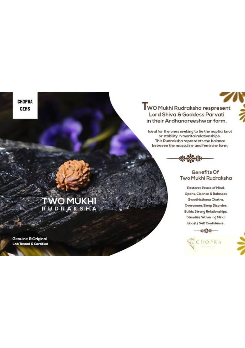 FLY PL STORE Certified/Original Two Mukhi Rudraksha/Natural 2-faced For Men & Women Brass, Wood Pendant - Indya