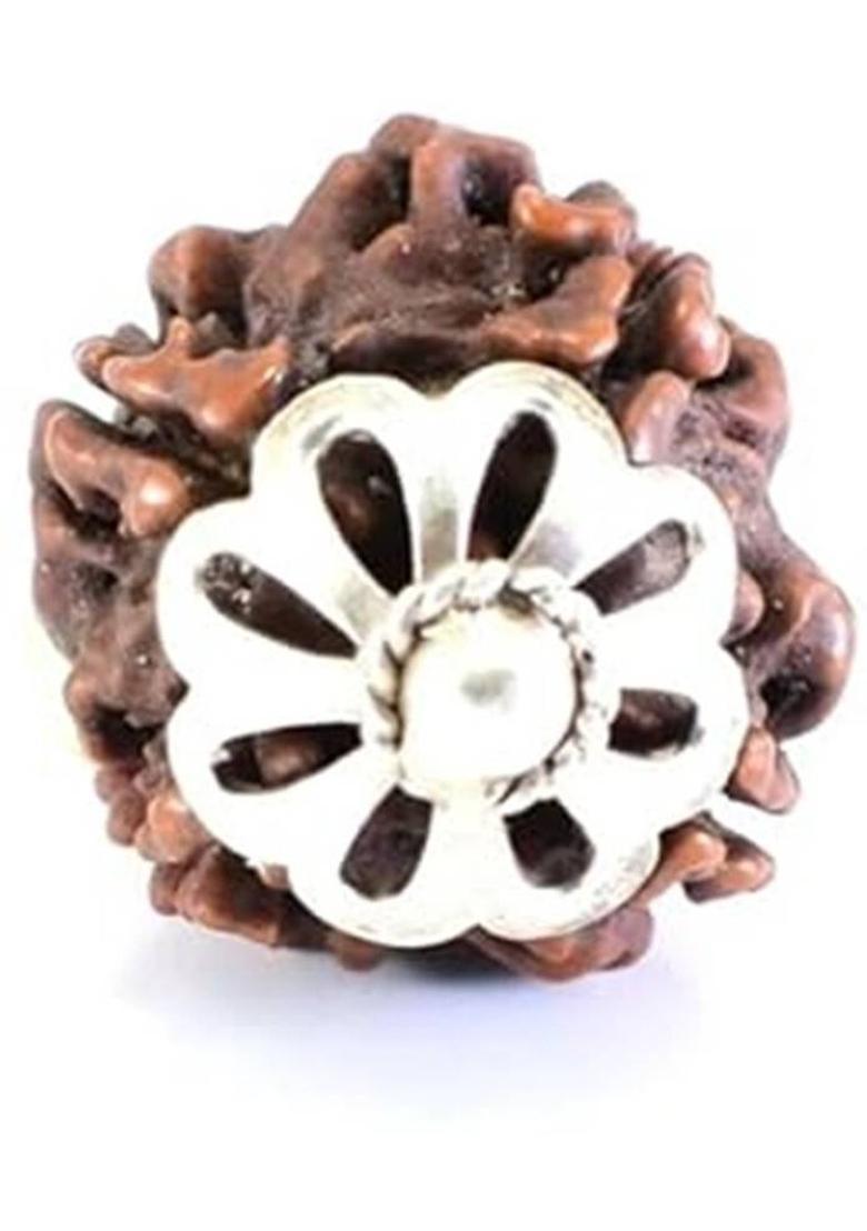 JagatguruShop 4 Mukhi Rudraksha Four Face Rudraksha Original Nepali Bead Metal Cap Wood Pendant - Indya