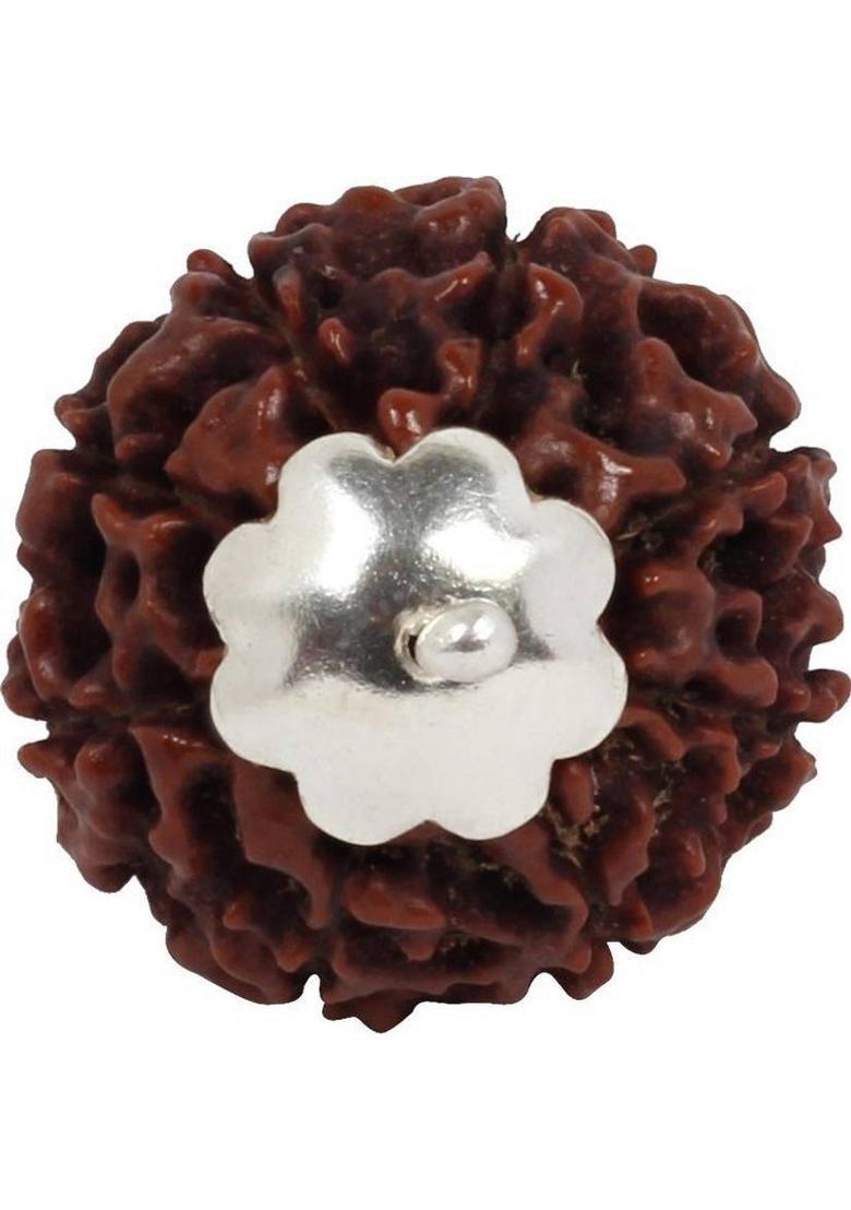 Astrodidi 8 Mukhi Rudraksha Eight Face Rudraksh Pendant Indonesian Java Small Size Bead With Lab Report Silver Wood Pendant - Indya