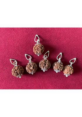 Rudraksham 6 Mukhi Nepali Rudraksha Pendant With Certificate Of Authenticity (Set of 5) Silver Brass Locket Set