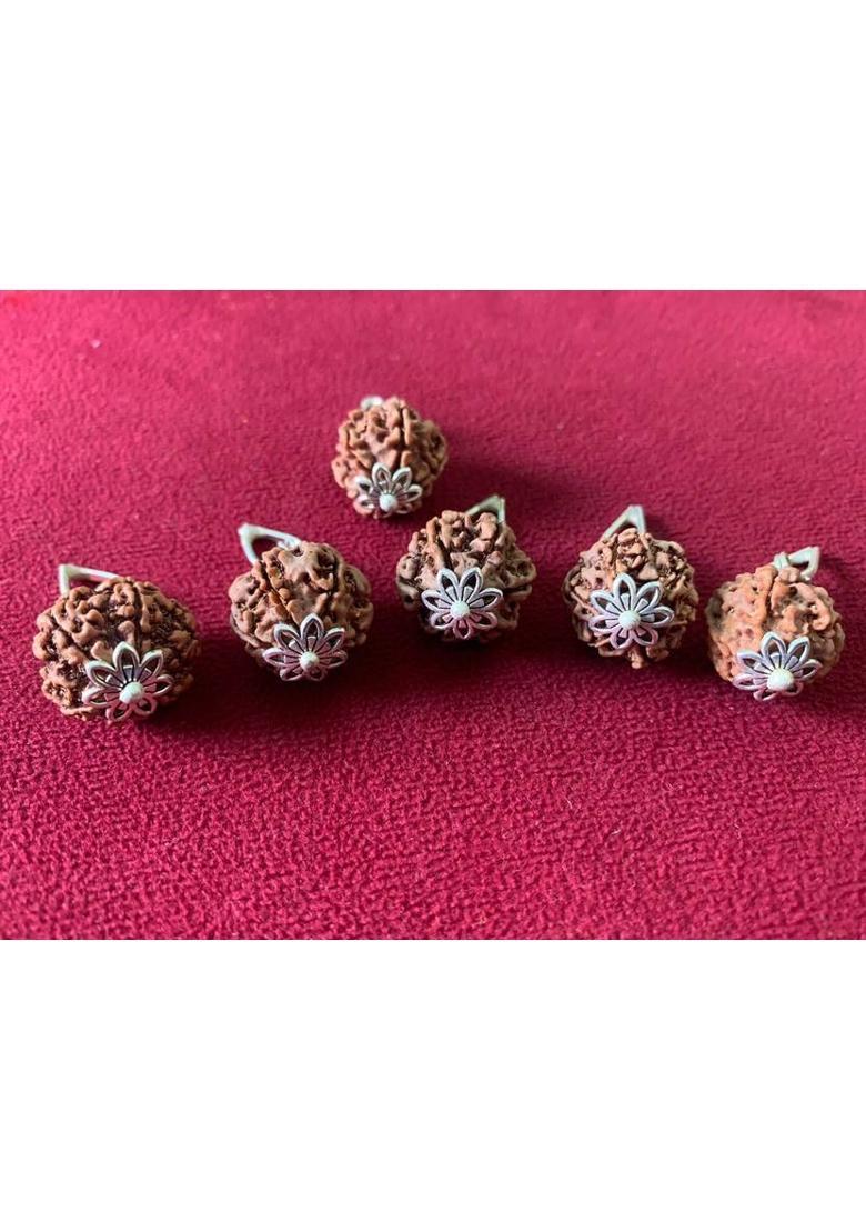 Rudraksham 6 Mukhi Nepali Rudraksha Pendant With Certificate Of Authenticity (Set of 5) Silver Brass Locket Set - Indya