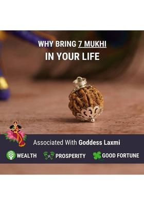 7 Mukhi Nepali Rudraksha - Saat Mukhi Wood Necklace