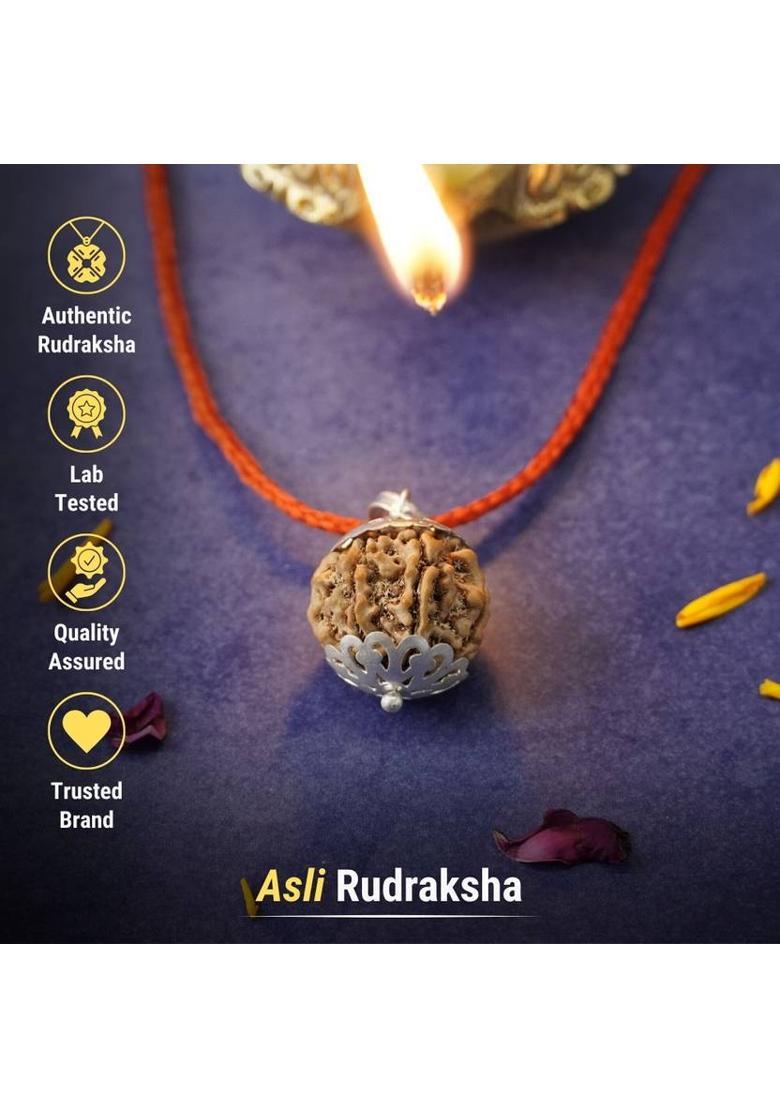 7 Mukhi Nepali Rudraksha - Saat Mukhi Wood Necklace - Indya