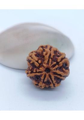 Shiv Aastha Premium 7 Mukhi Rudraksha Beads With White Sandal / Chandan Beads Pendant Chain Beads Wood Pendant