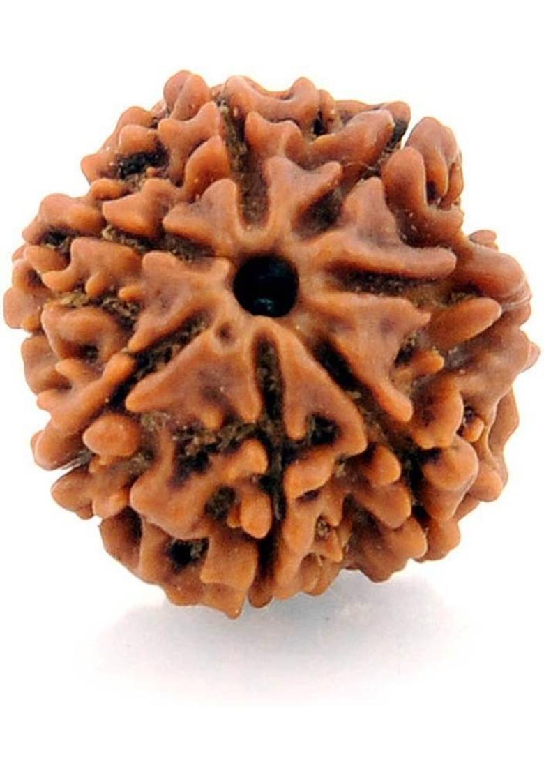 Gems Jewels Online Rudraksha Beads Wood Pendant - Indya