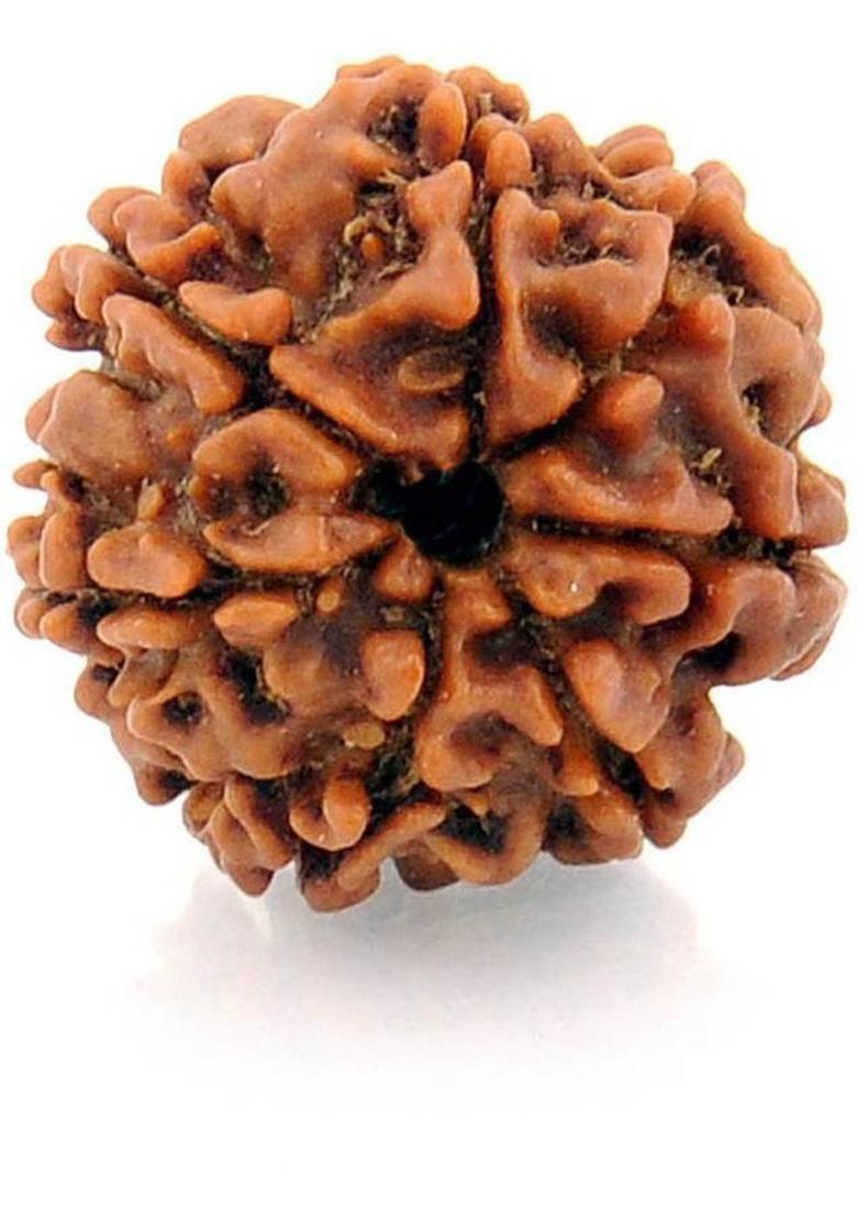 Gems Jewels Online Rudraksha Beads Wood Pendant - Indya