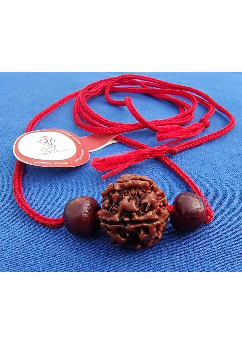 jupiter speaks 6 Mukhi / Face Rudraksha Pendant With Red Chandan Bead, 100% Original Ruthratcham Locket Bead Size 16-20 mm Color Dark Brown With Red Silk Thread for Men and Women Wood Pendant - Indya