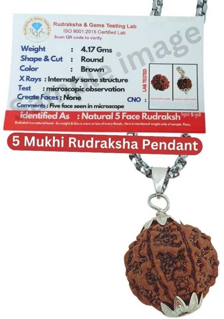 Shade Creation 5 mukhi Rudraksha pendant| natural & Certified | for unisex Silver Beads Brass, Wood Locket Set - Indya